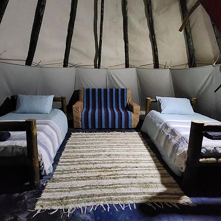Tsitsikamma Wolf Sanctuary Eco Cabins & Teepees Stormsrivier Luaran gambar