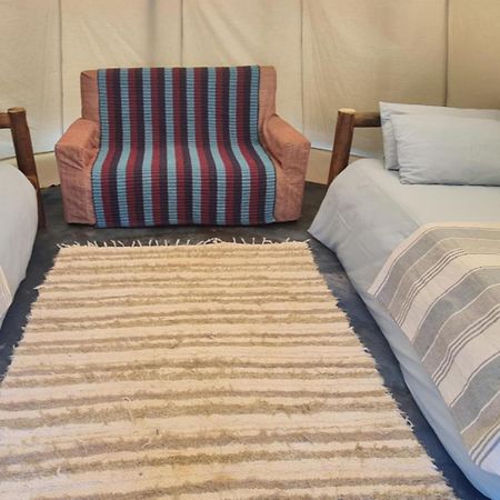 Tsitsikamma Wolf Sanctuary Eco Cabins & Teepees Stormsrivier Luaran gambar