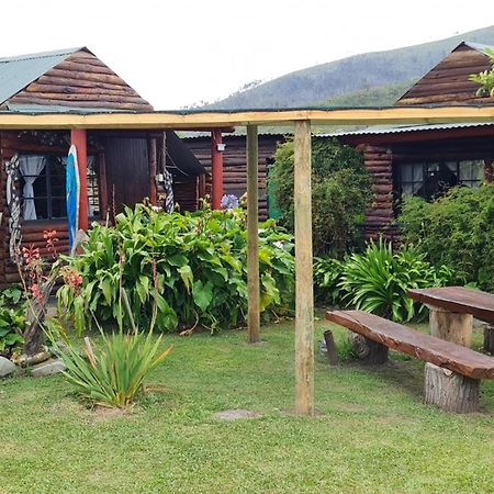 Tsitsikamma Wolf Sanctuary Eco Cabins & Teepees Stormsrivier Luaran gambar