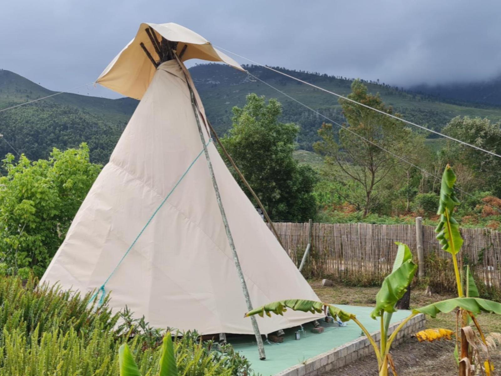 Tsitsikamma Wolf Sanctuary Eco Cabins & Teepees Stormsrivier Luaran gambar