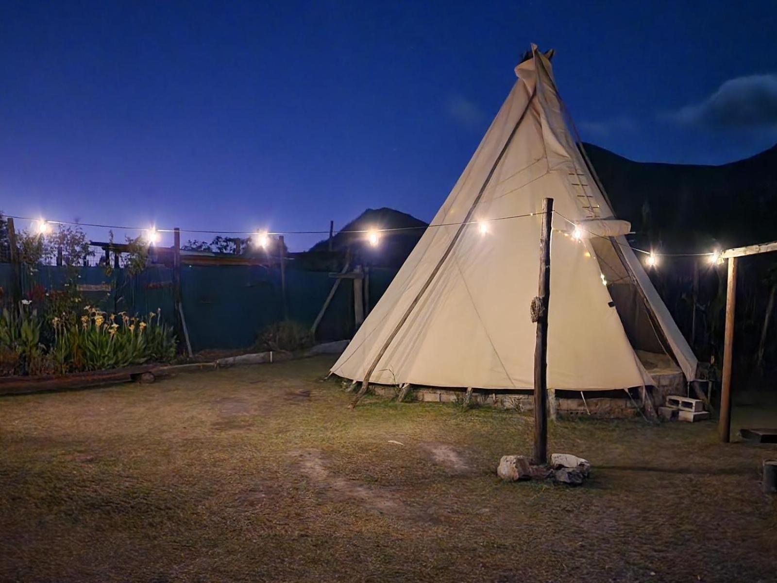 Tsitsikamma Wolf Sanctuary Eco Cabins & Teepees Stormsrivier Luaran gambar