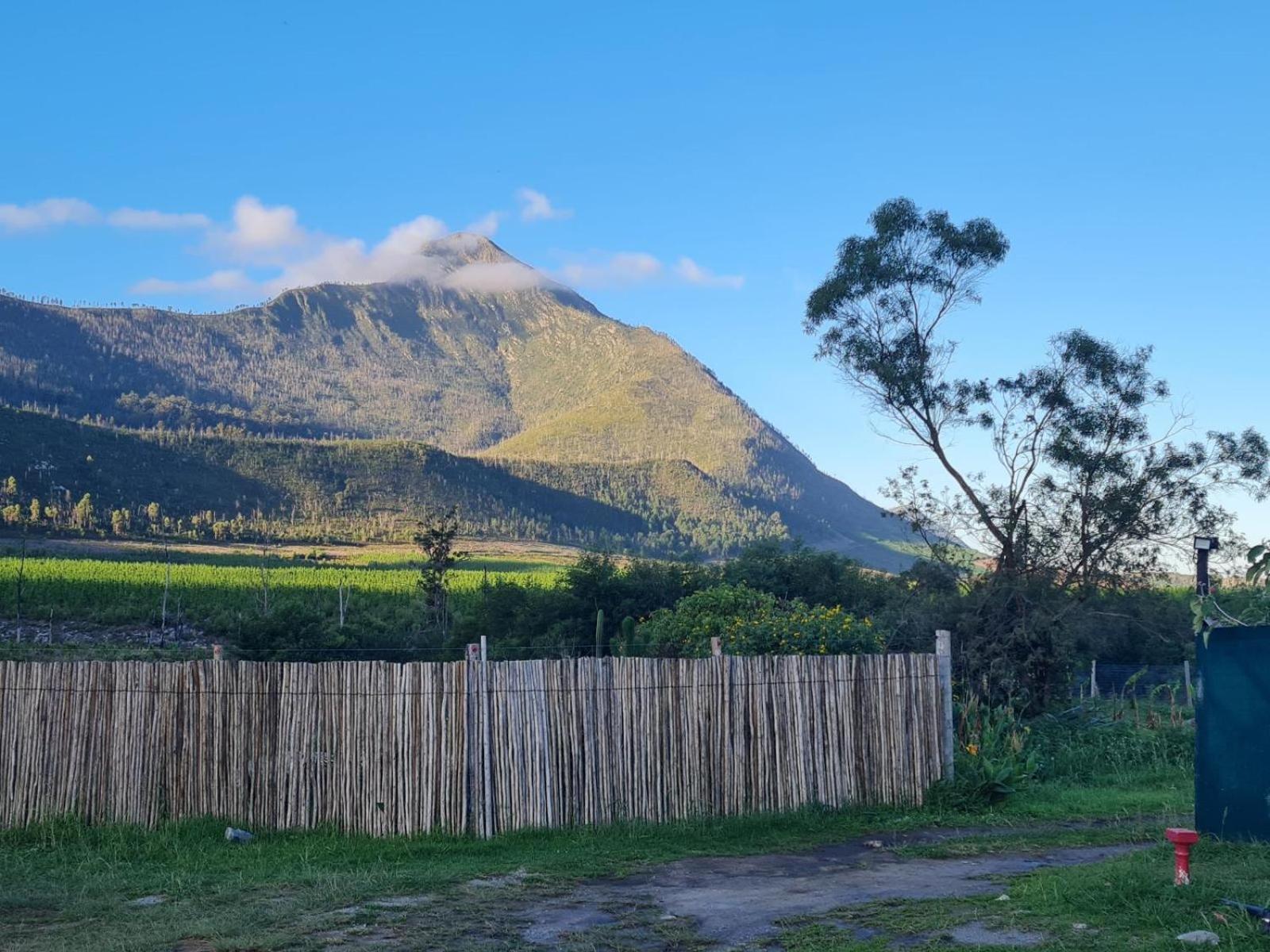 Tsitsikamma Wolf Sanctuary Eco Cabins & Teepees Stormsrivier Luaran gambar