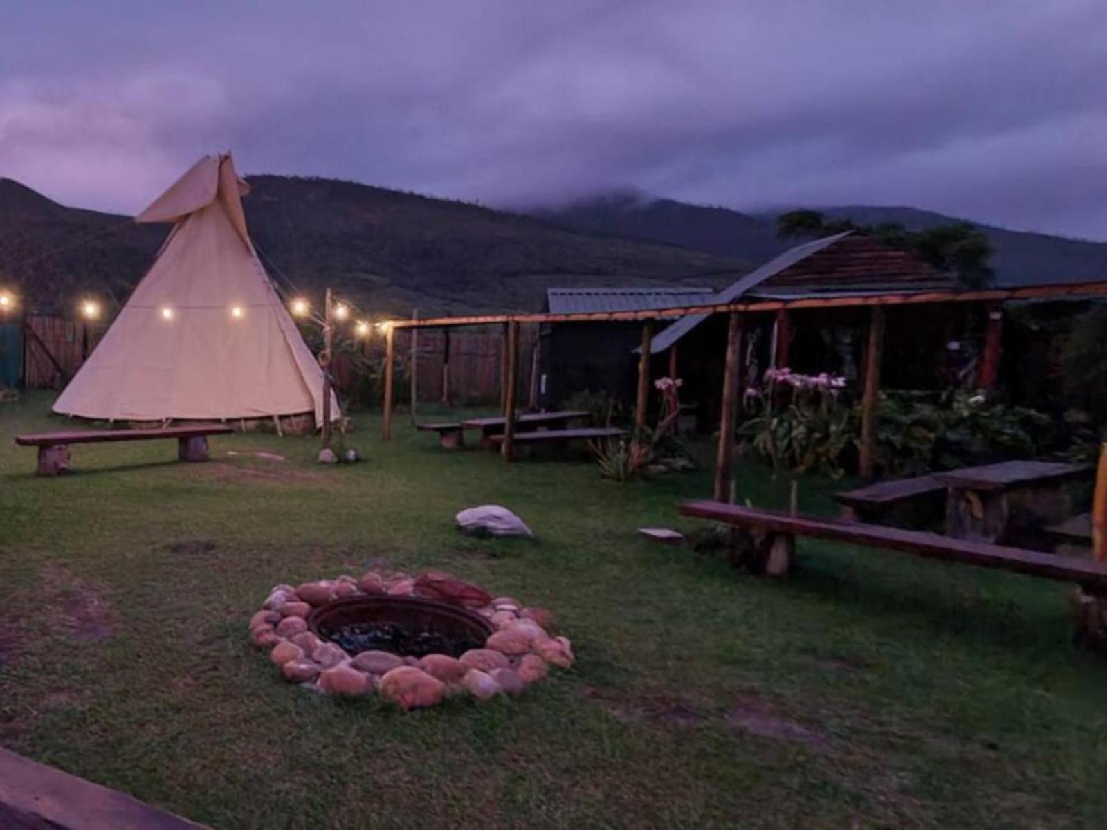 Tsitsikamma Wolf Sanctuary Eco Cabins & Teepees Stormsrivier Luaran gambar