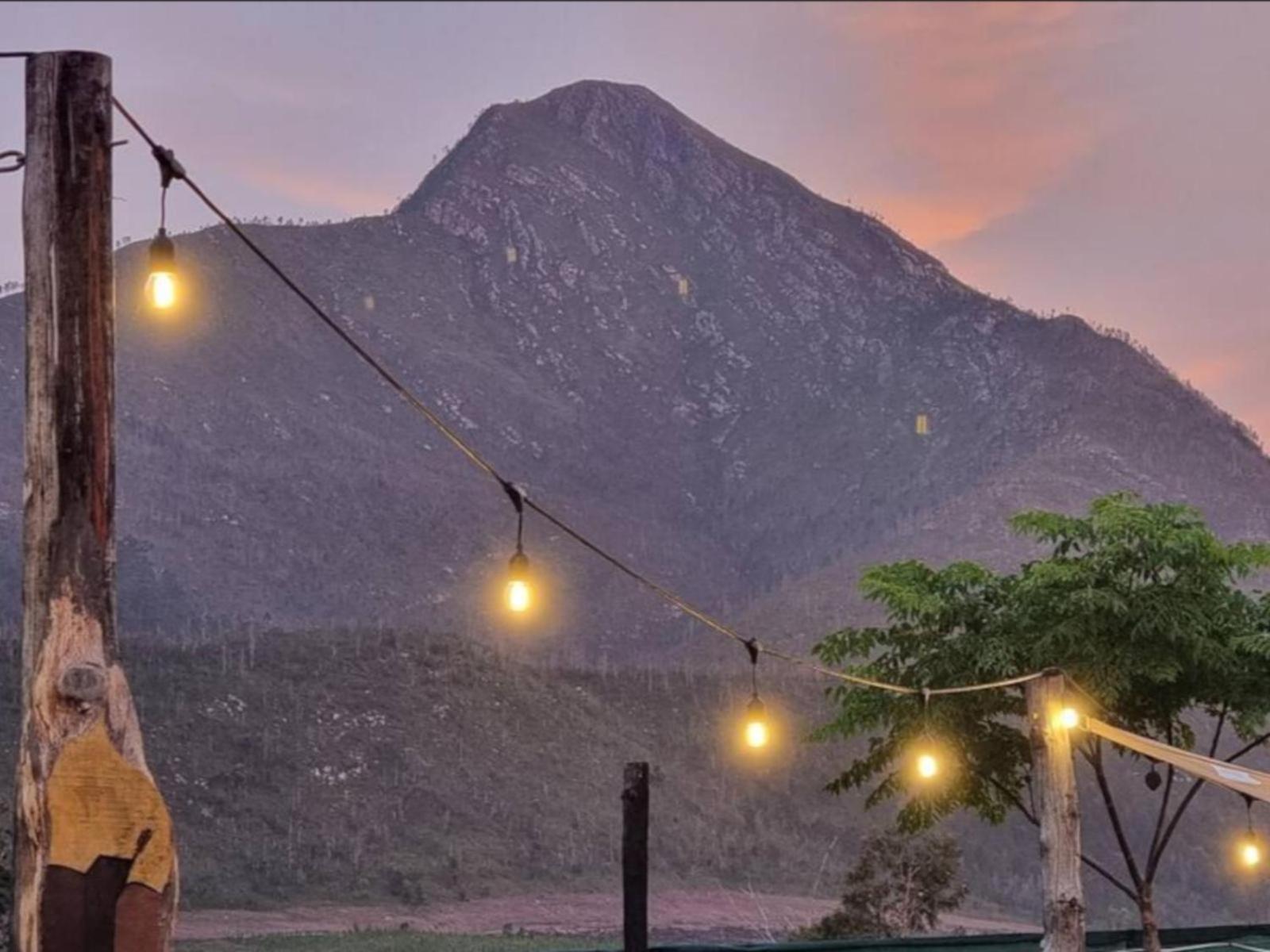 Tsitsikamma Wolf Sanctuary Eco Cabins & Teepees Stormsrivier Luaran gambar