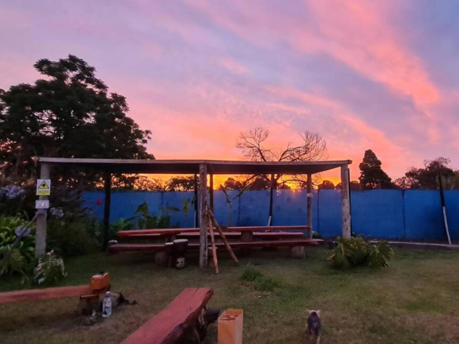 Tsitsikamma Wolf Sanctuary Eco Cabins & Teepees Stormsrivier Luaran gambar