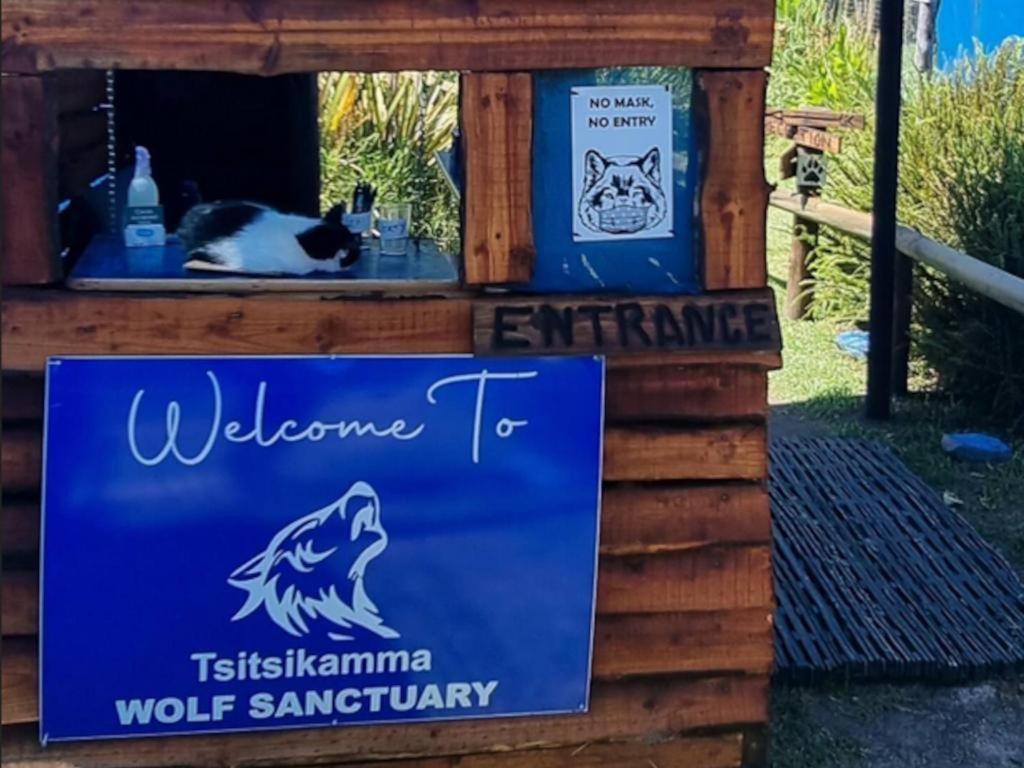 Tsitsikamma Wolf Sanctuary Eco Cabins & Teepees Stormsrivier Luaran gambar