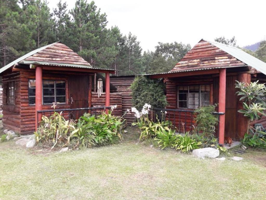 Tsitsikamma Wolf Sanctuary Eco Cabins & Teepees Stormsrivier Luaran gambar