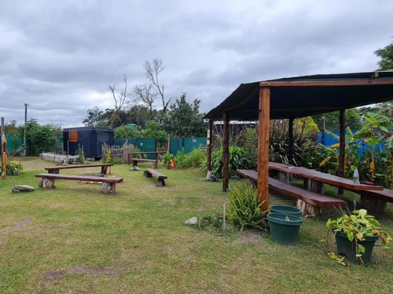 Tsitsikamma Wolf Sanctuary Eco Cabins & Teepees Stormsrivier Luaran gambar