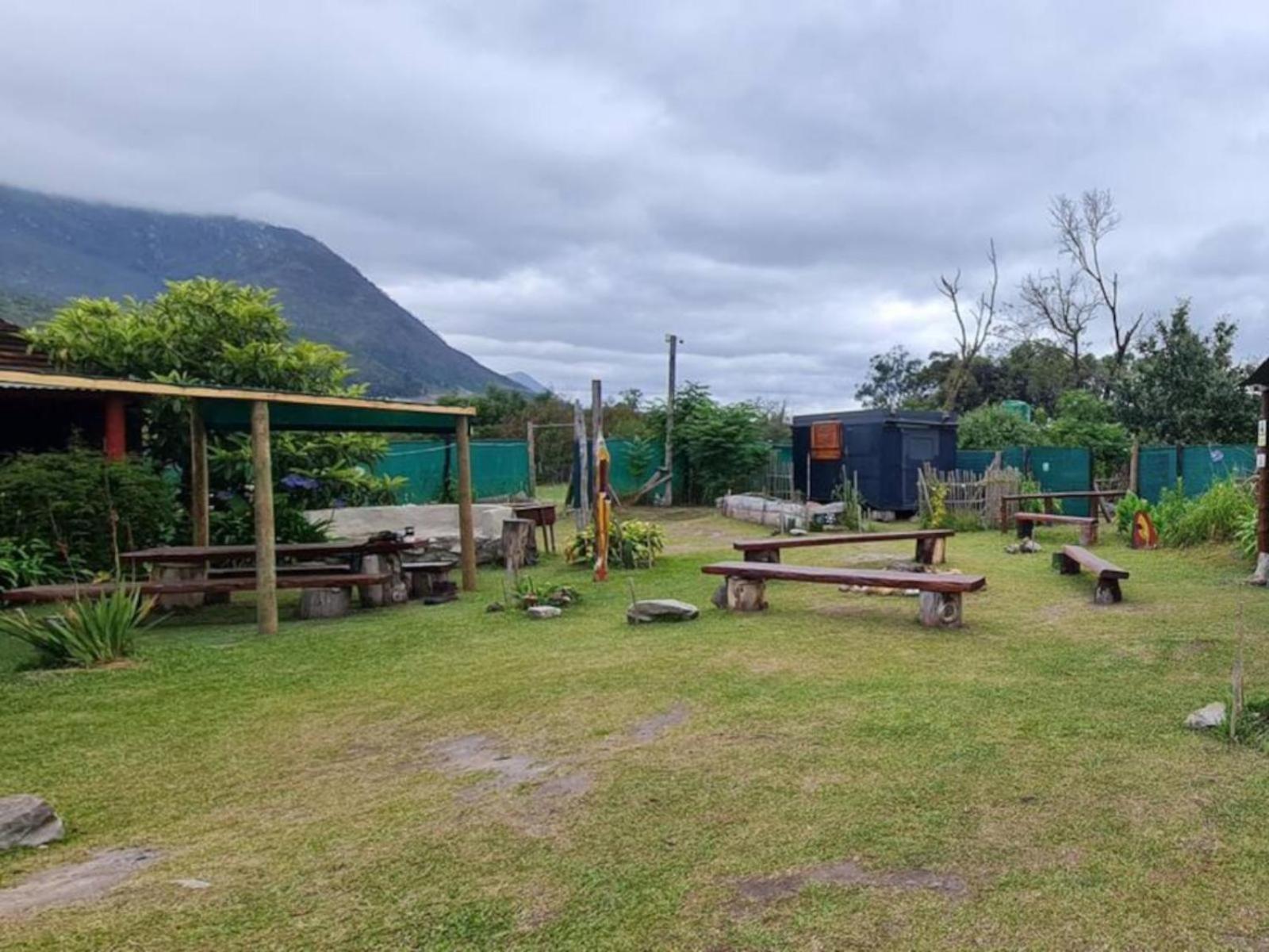 Tsitsikamma Wolf Sanctuary Eco Cabins & Teepees Stormsrivier Luaran gambar