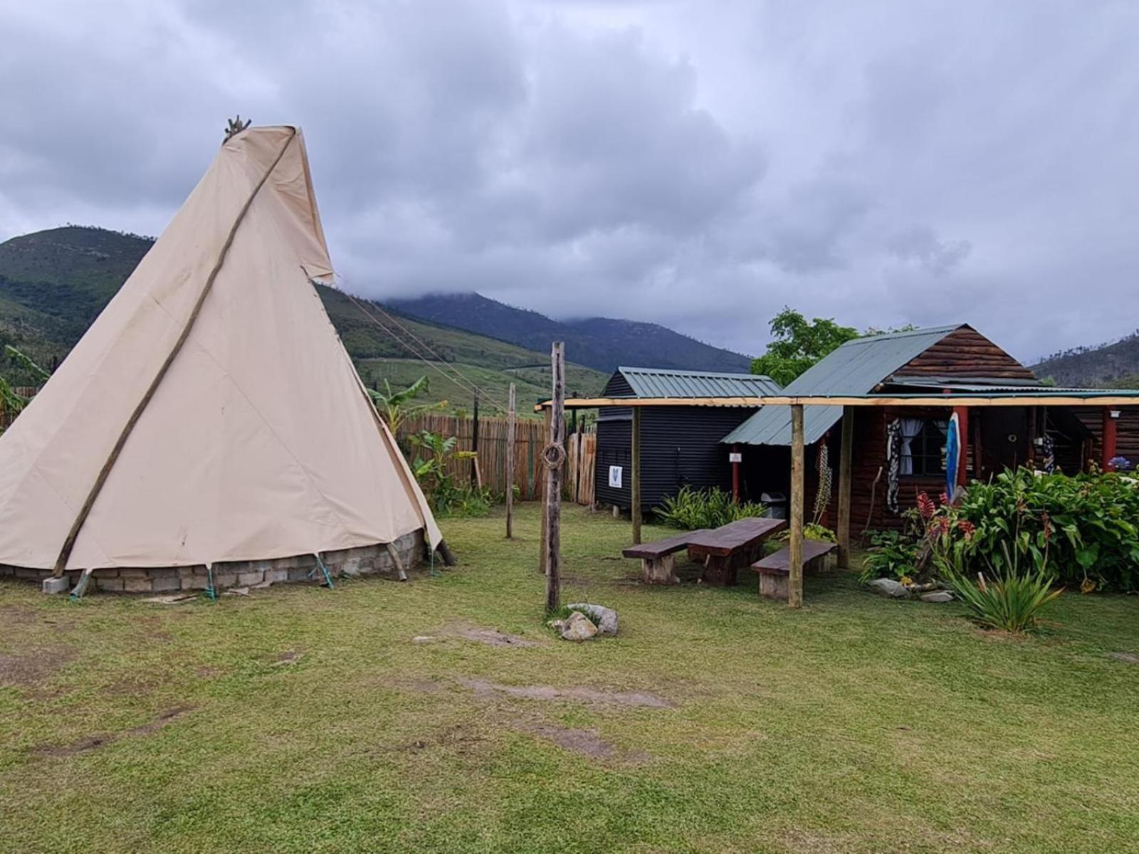 Tsitsikamma Wolf Sanctuary Eco Cabins & Teepees Stormsrivier Luaran gambar