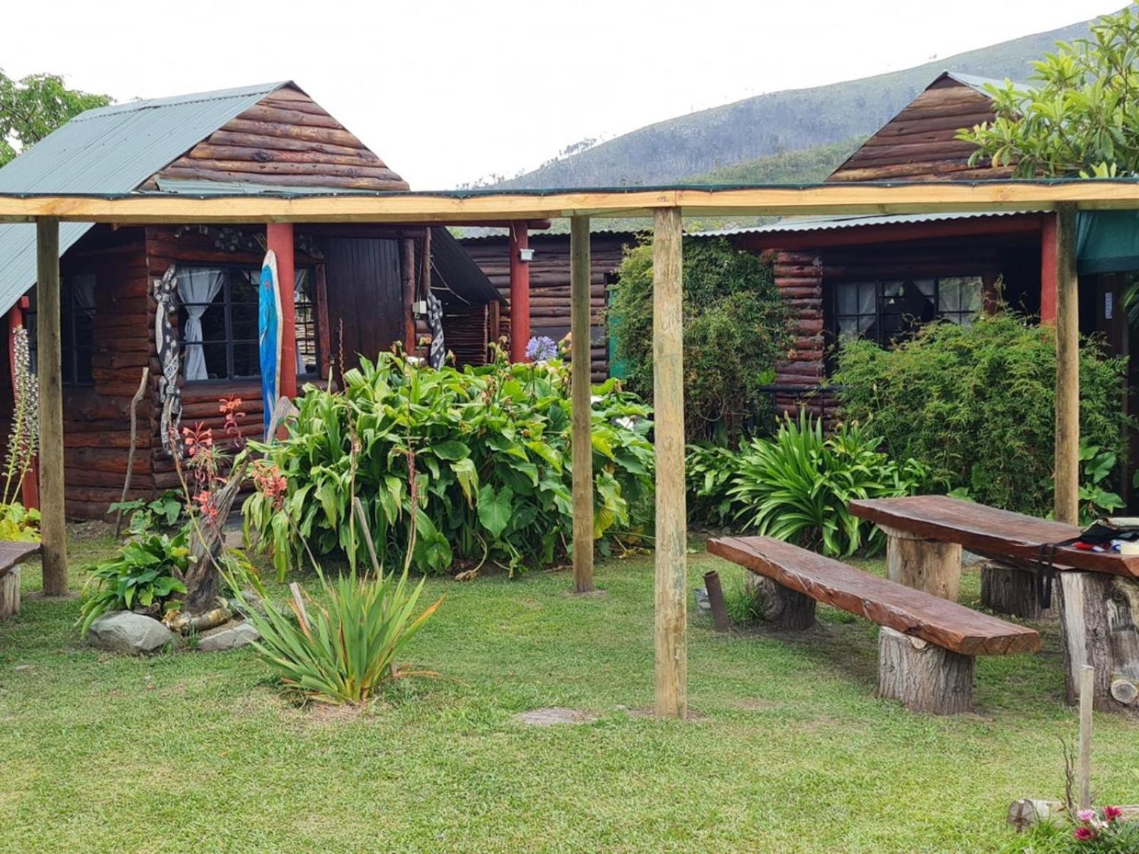 Tsitsikamma Wolf Sanctuary Eco Cabins & Teepees Stormsrivier Luaran gambar