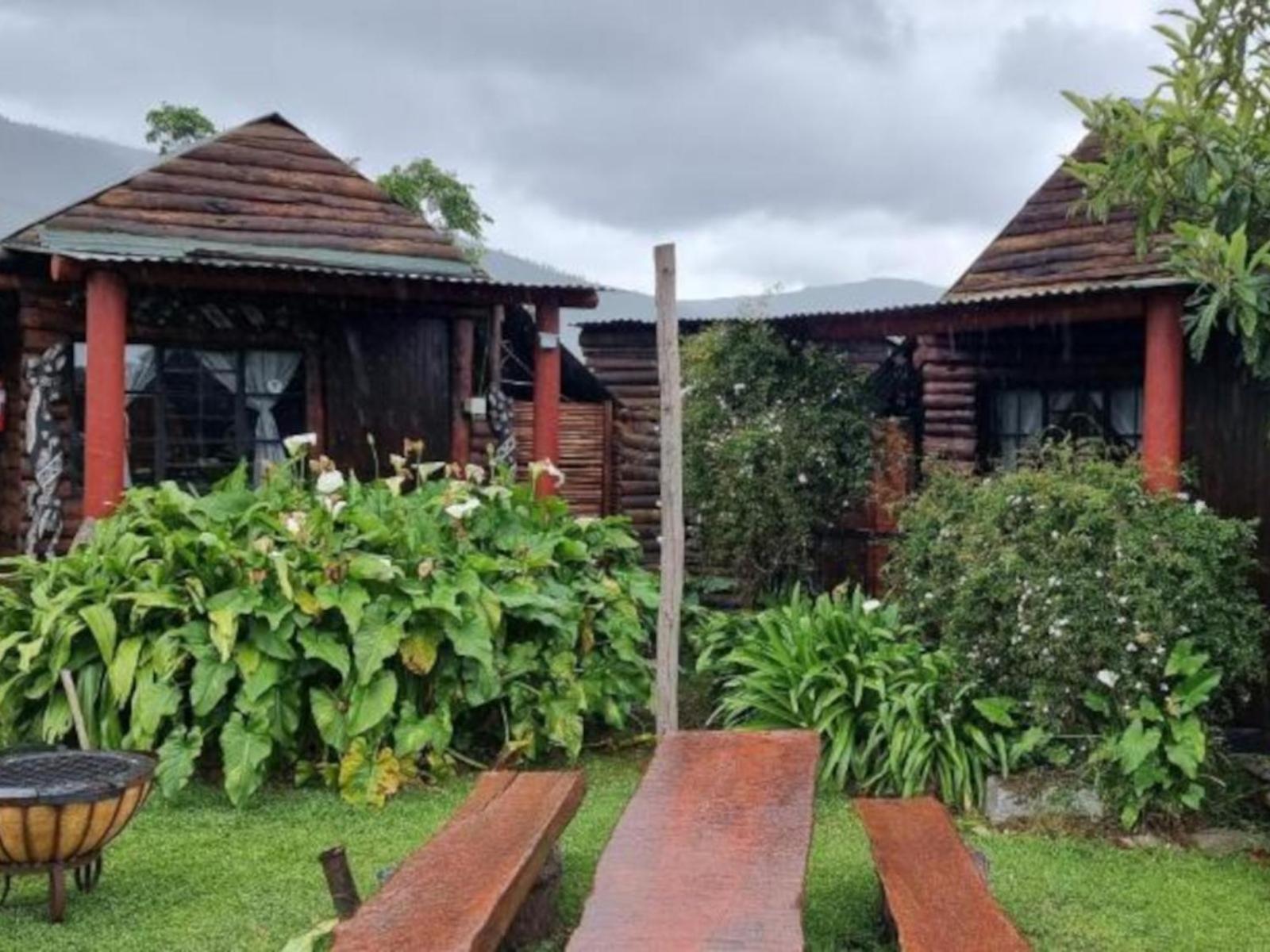 Tsitsikamma Wolf Sanctuary Eco Cabins & Teepees Stormsrivier Luaran gambar
