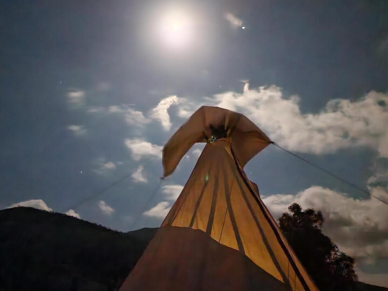 Tsitsikamma Wolf Sanctuary Eco Cabins & Teepees Stormsrivier Bilik gambar