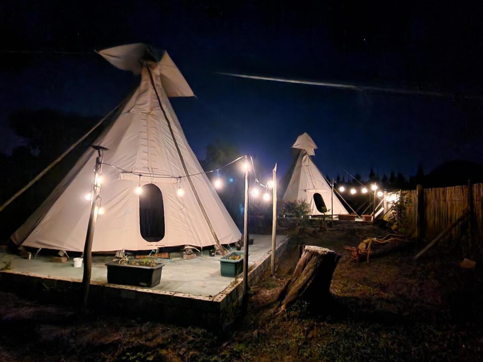 Tsitsikamma Wolf Sanctuary Eco Cabins & Teepees Stormsrivier Bilik gambar