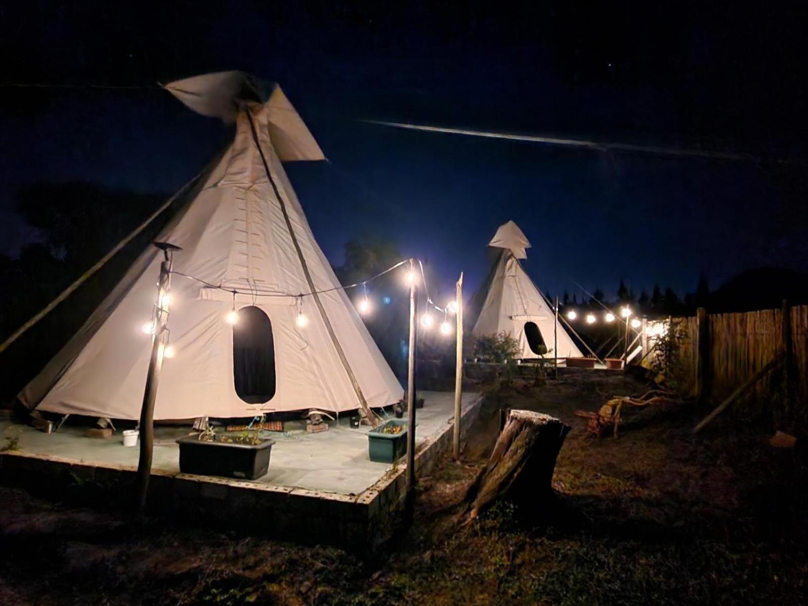 Tsitsikamma Wolf Sanctuary Eco Cabins & Teepees Stormsrivier Bilik gambar