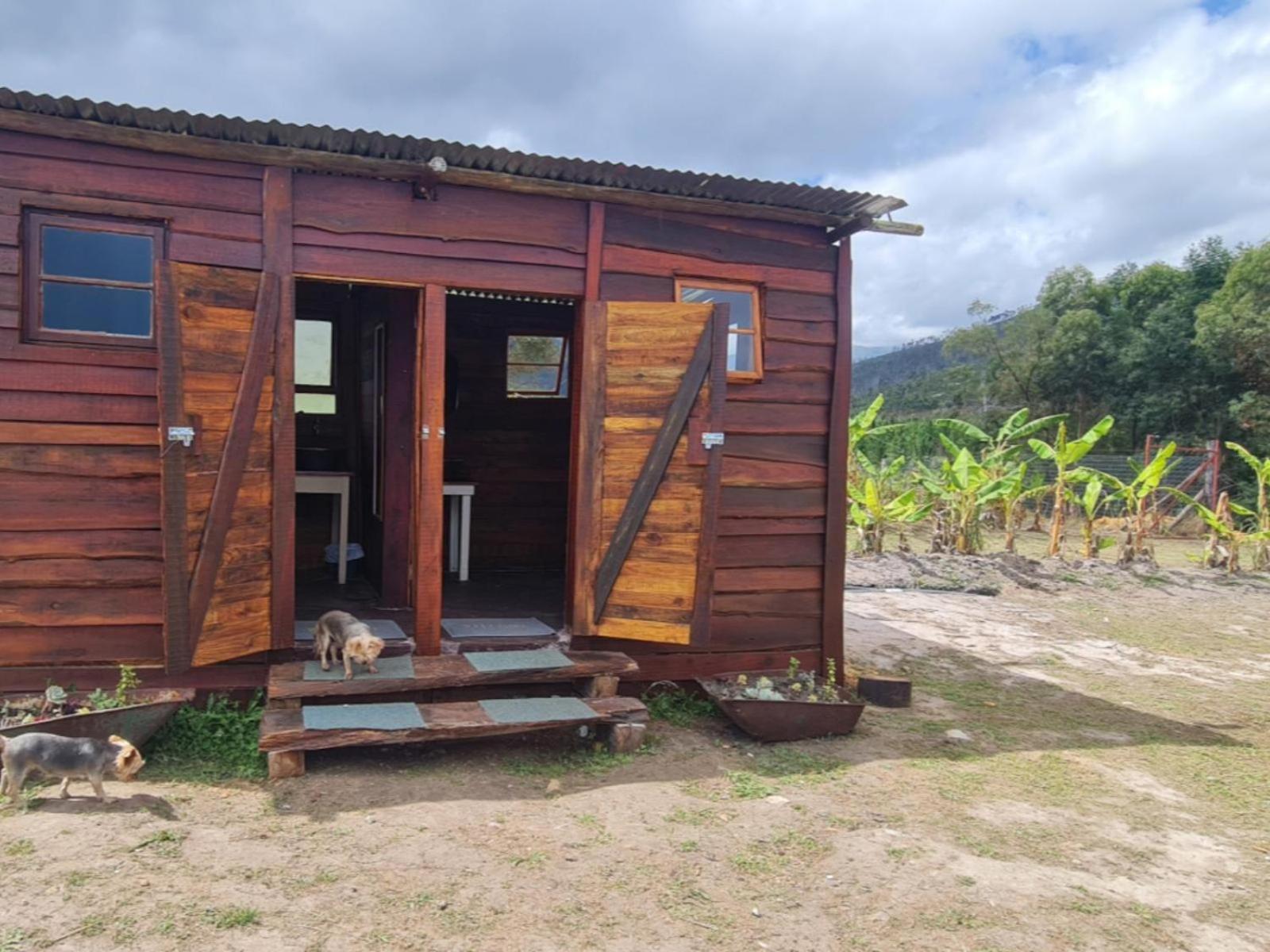 Tsitsikamma Wolf Sanctuary Eco Cabins & Teepees Stormsrivier Bilik gambar