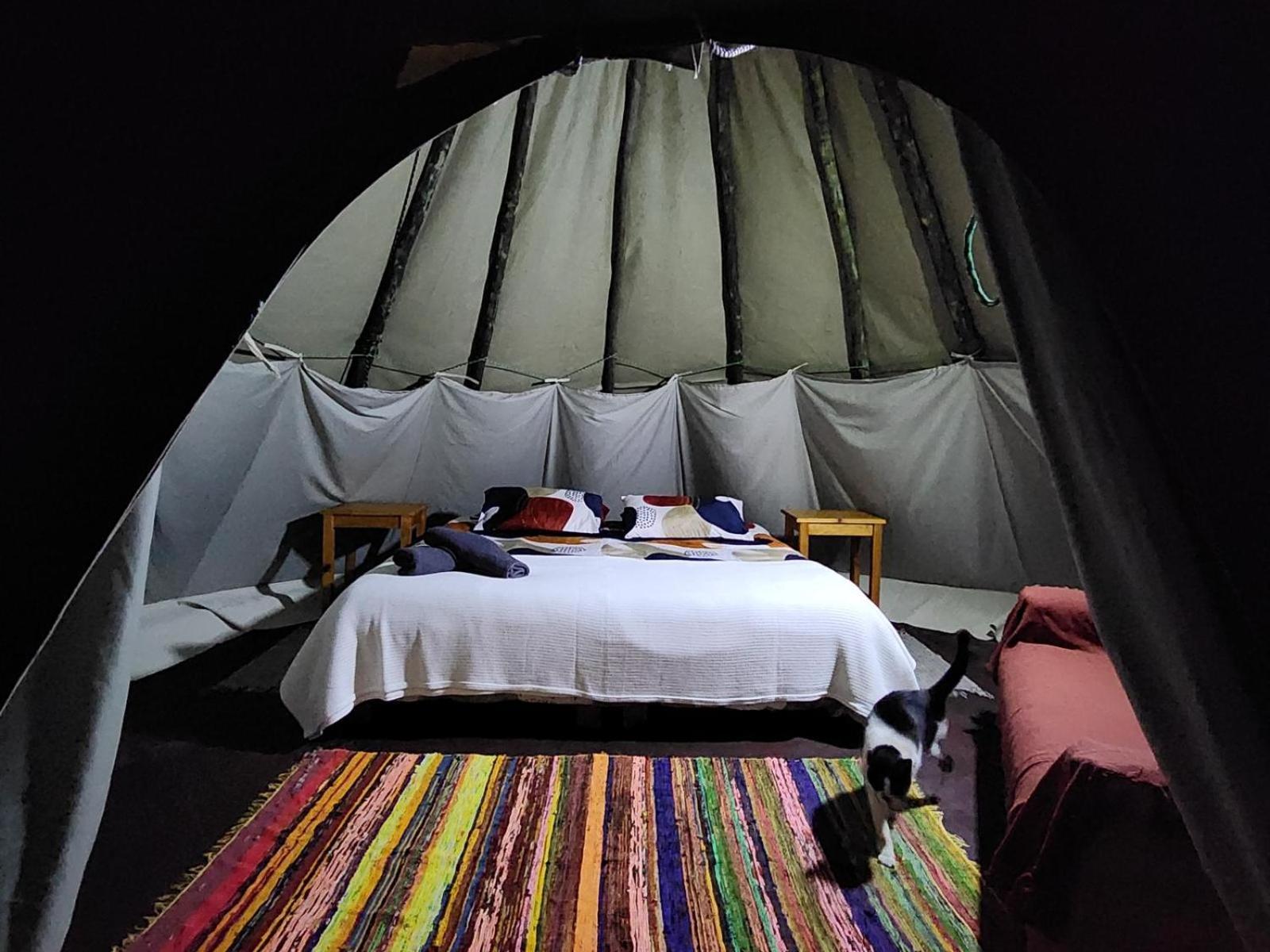 Tsitsikamma Wolf Sanctuary Eco Cabins & Teepees Stormsrivier Bilik gambar