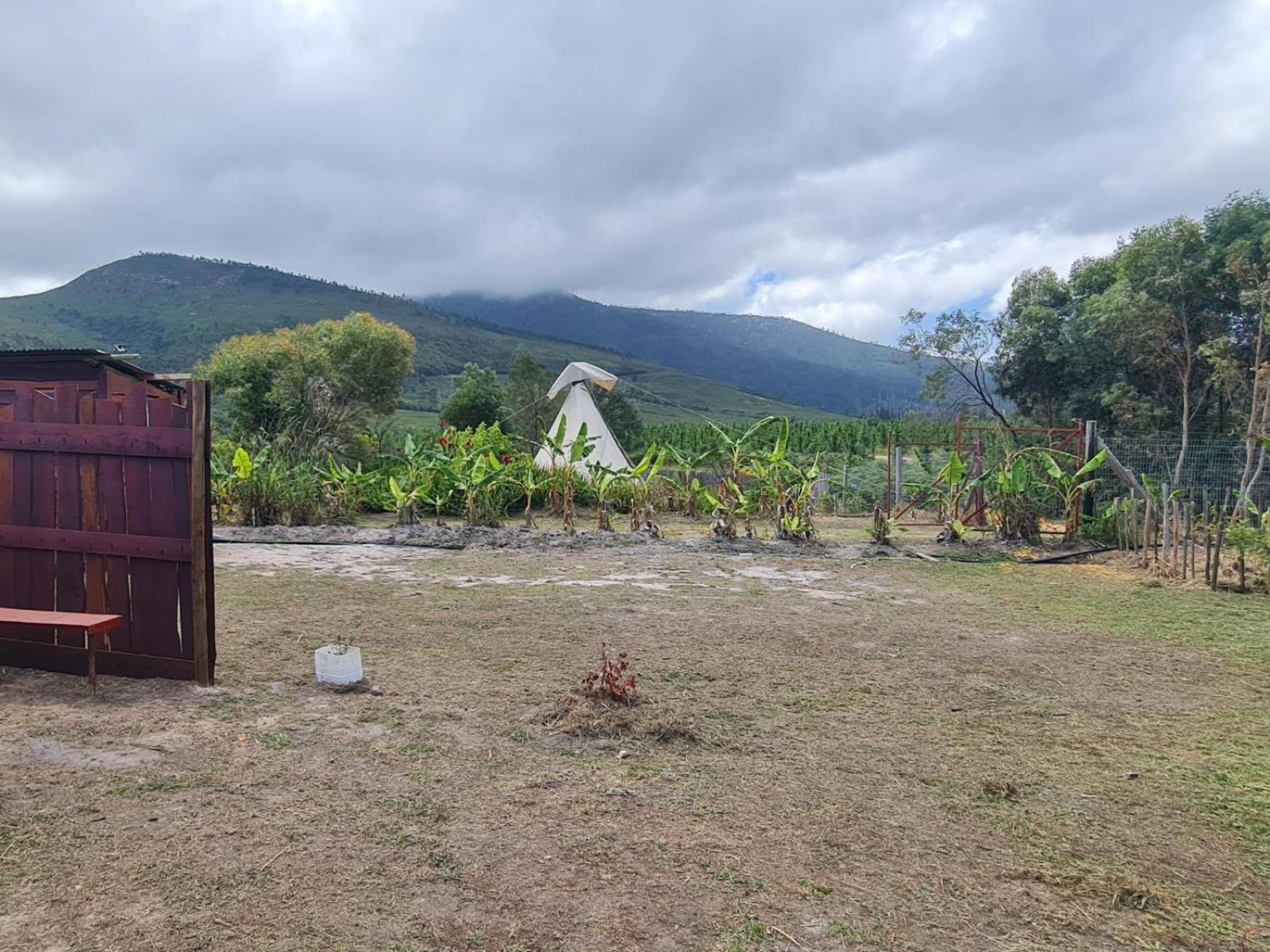 Tsitsikamma Wolf Sanctuary Eco Cabins & Teepees Stormsrivier Bilik gambar